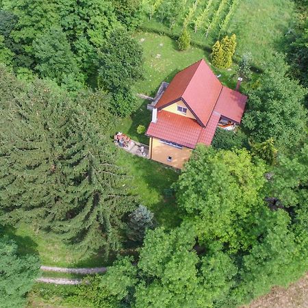 Villa Lorena Krapinske Toplice Exteriér fotografie